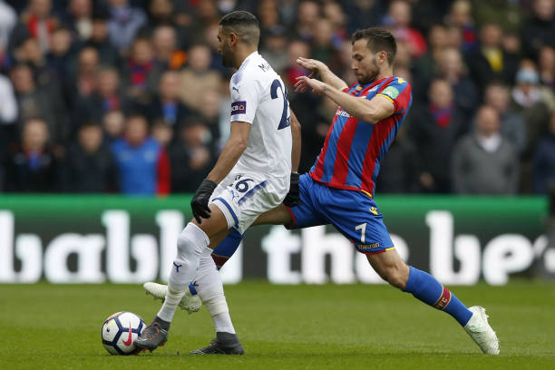 牛的表现来 牛的表现来